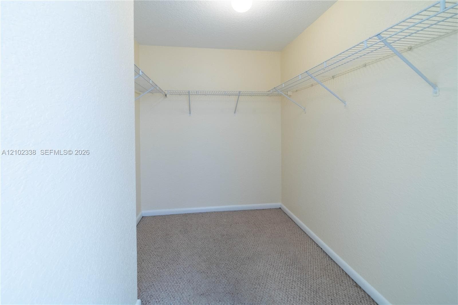 Recessed closet space featuring wire shelving, wall-to-wall carpeting, and a ceiling-mounted light fixture