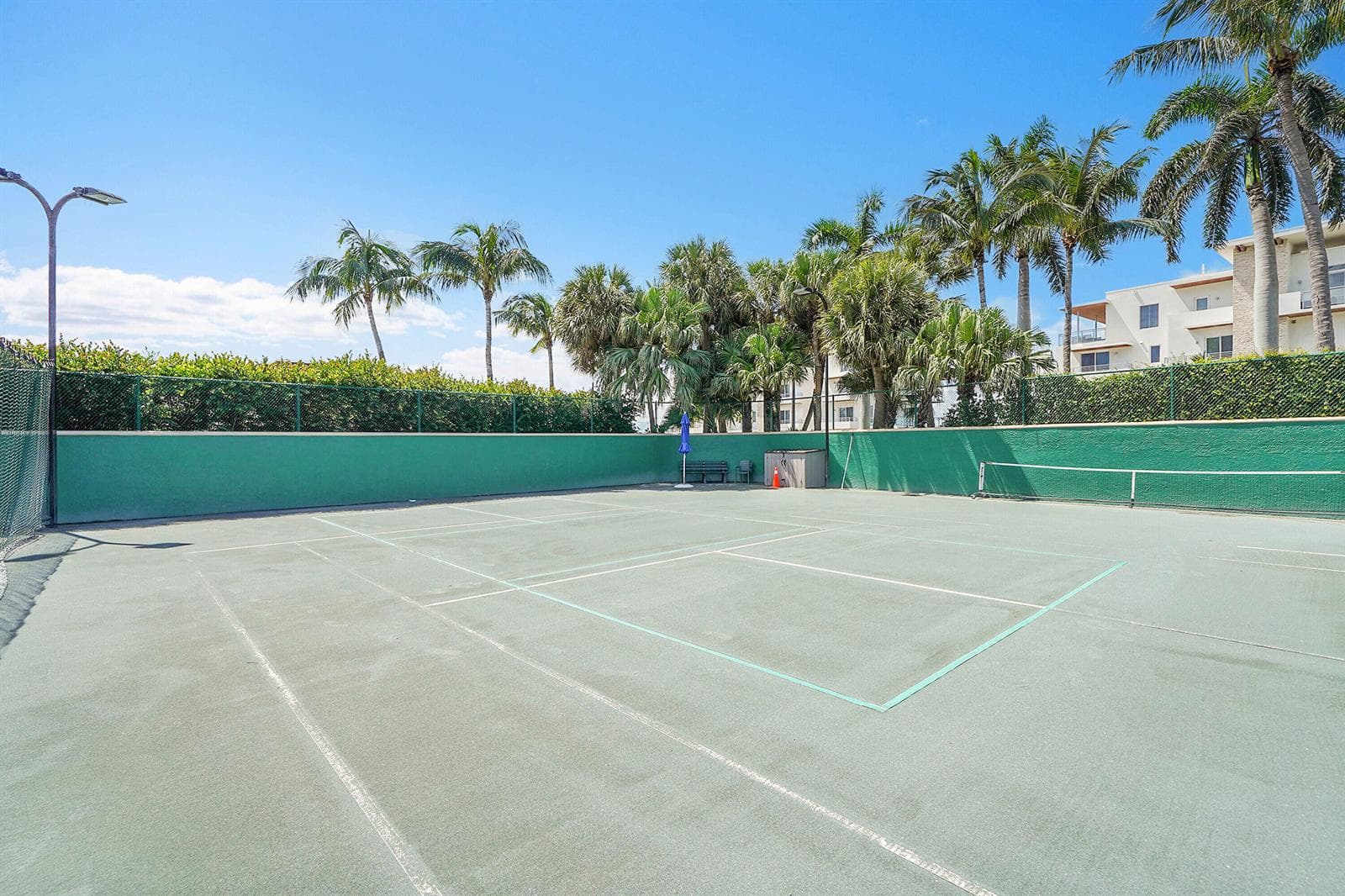 8 tennis 1