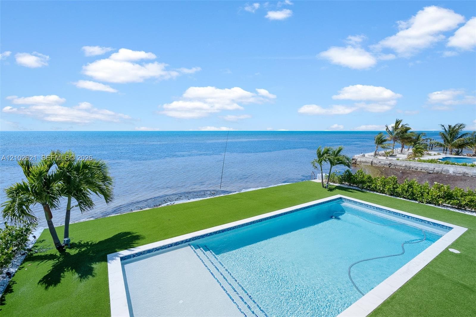 Rectangular swimming pool with integrated steps, surrounded by green turf and mature palm trees
