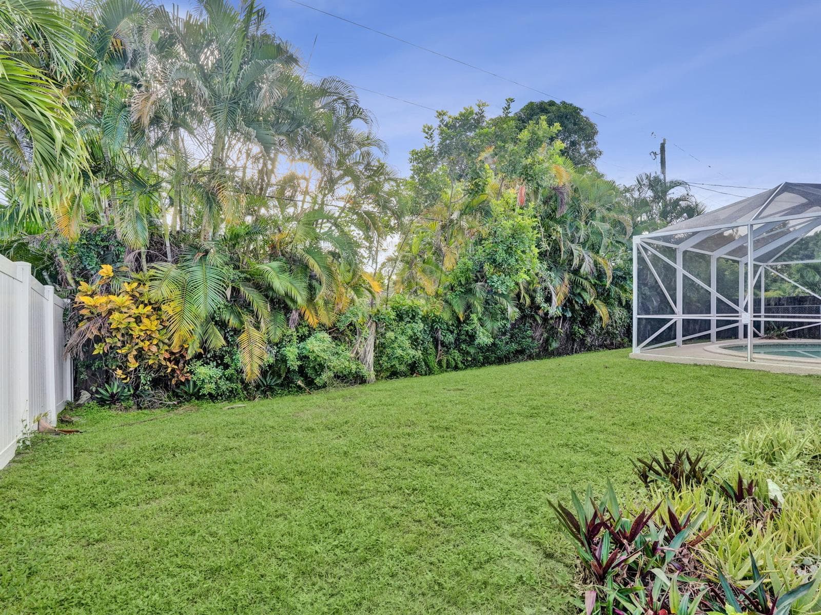 large backyard