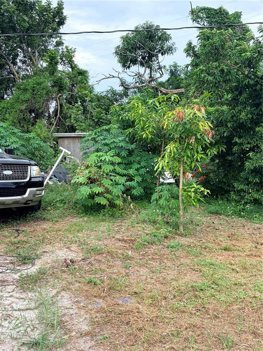 16461 NW 19 ct photo 16