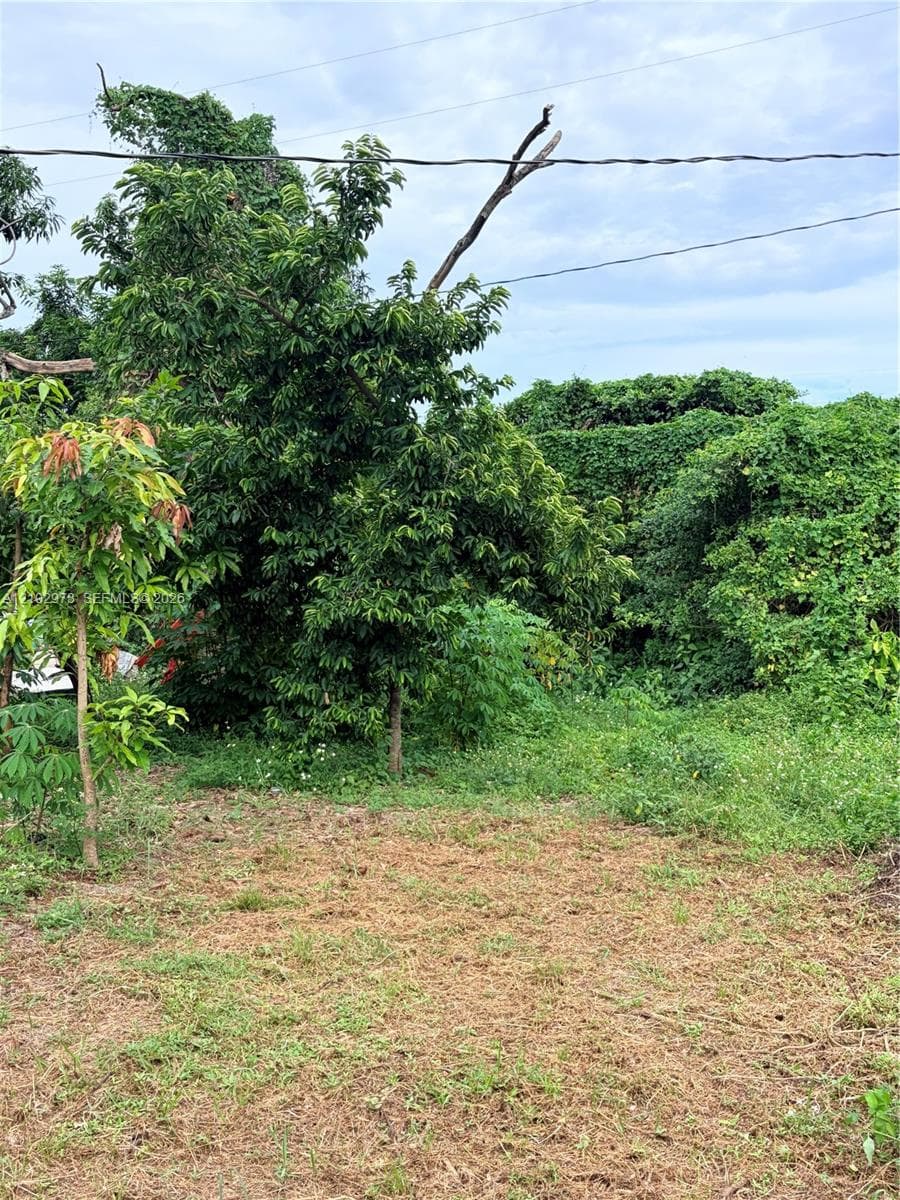 16461 NW 19 ct photo 15