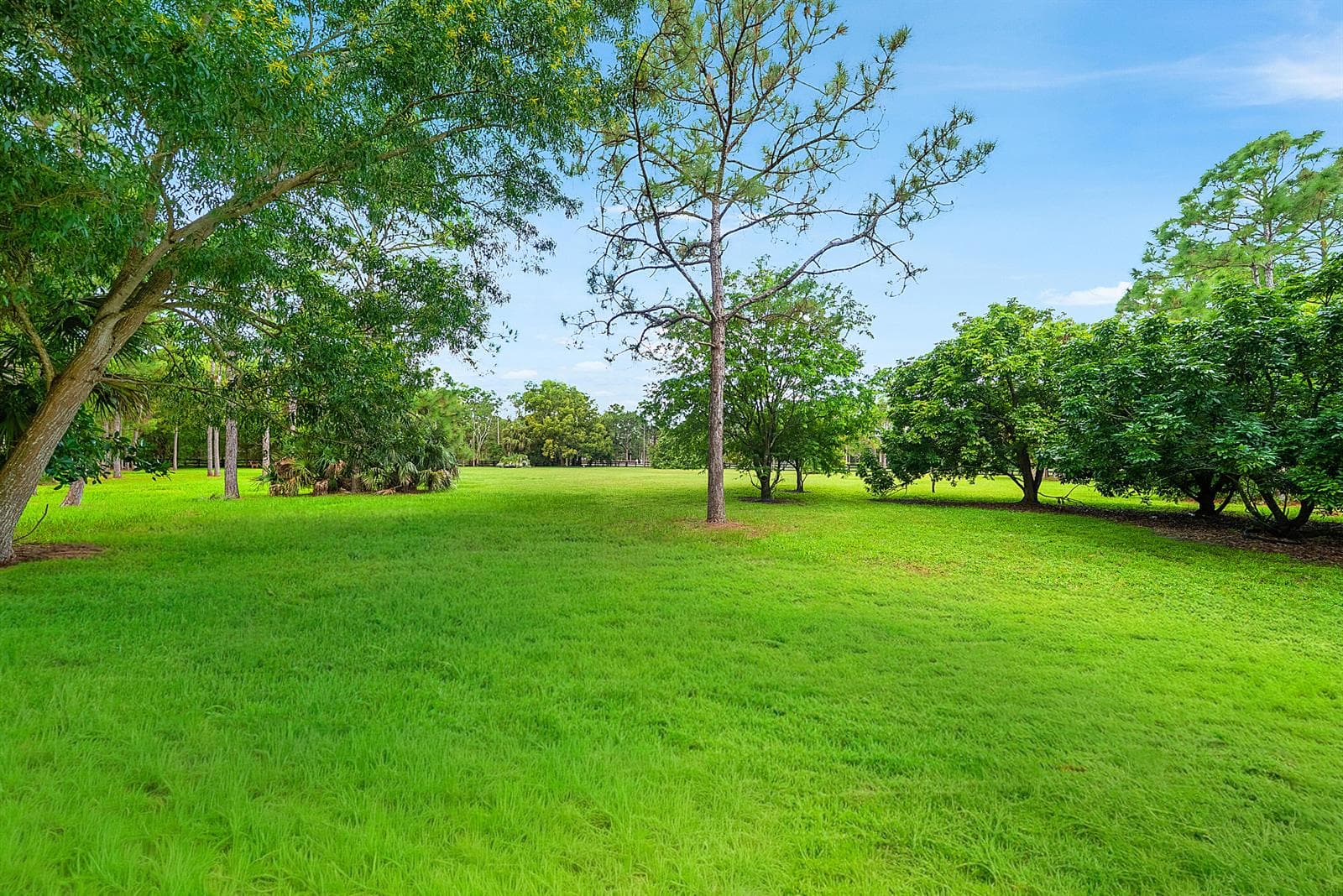 Partially cleared lot