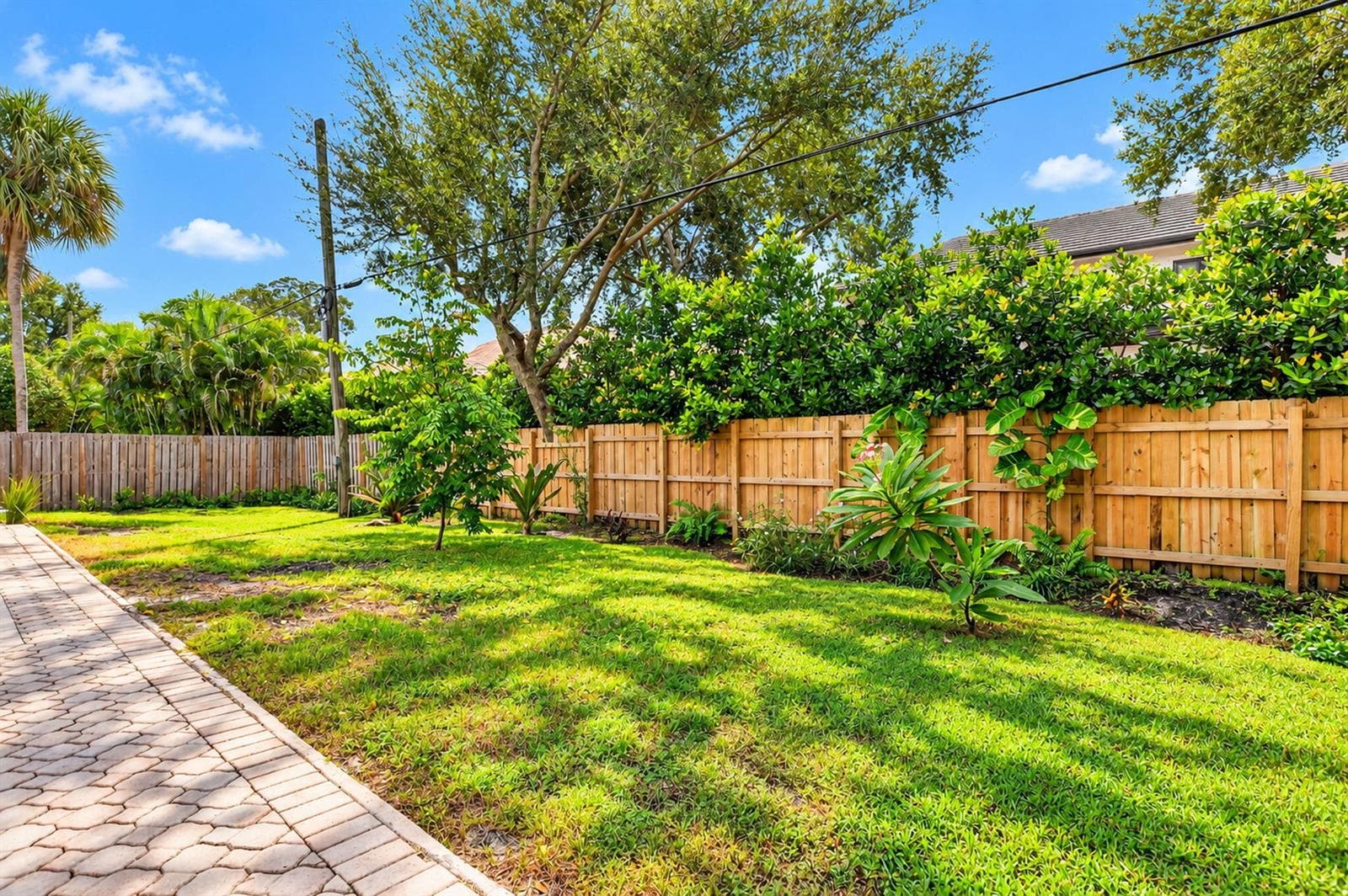 Backyard