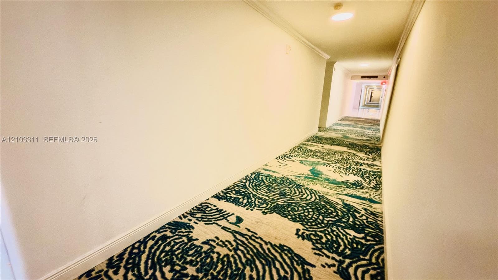 PLAZA TOWERS SOUTH CONDO · #711 in Hallandale Beach - Photo 59