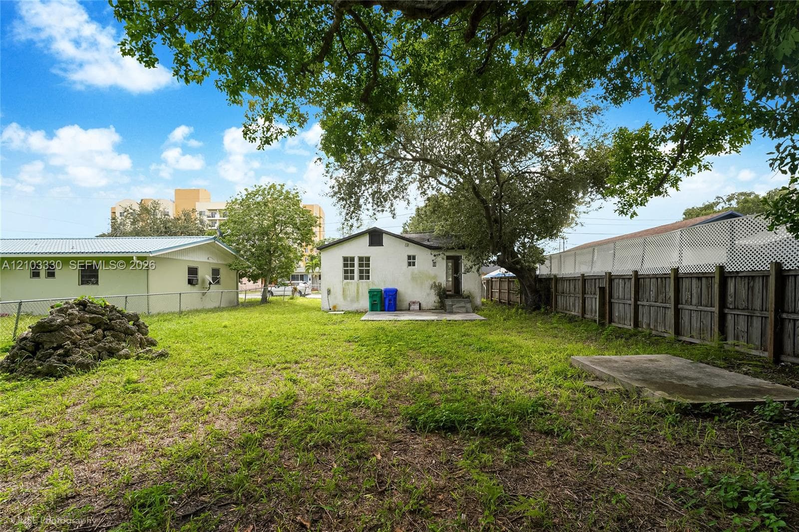 Expansive backyard featuring a large tree, perimeter wood fencing, and a concrete patio slab