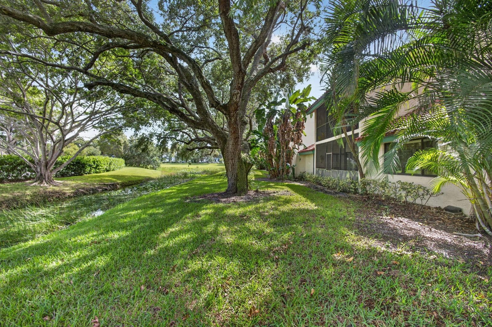 49-web-or-mls-5D1A6214