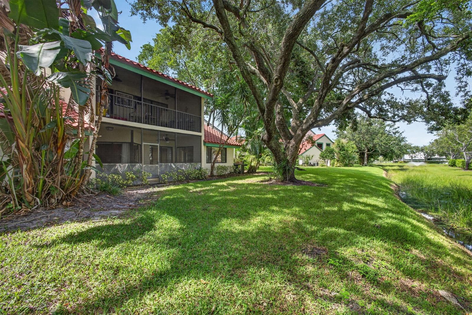 51-web-or-mls-5D1A6228