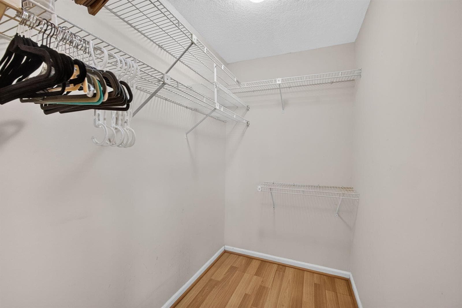 34-web-or-mls-5D1A6392