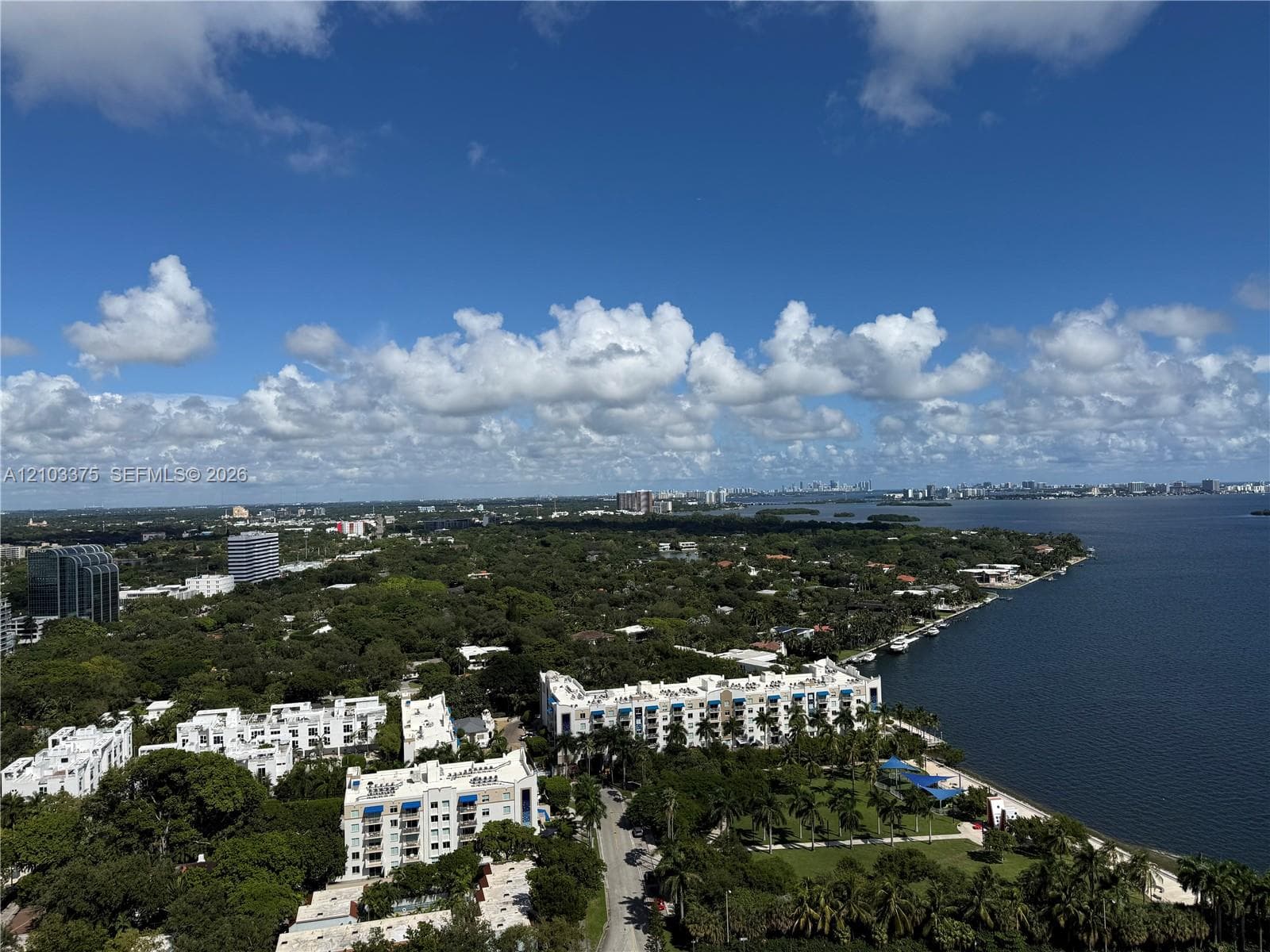 Aerial perspective showcasing coastal landscape, mature tree canopy, waterfront proximity, and high-rise surroundings