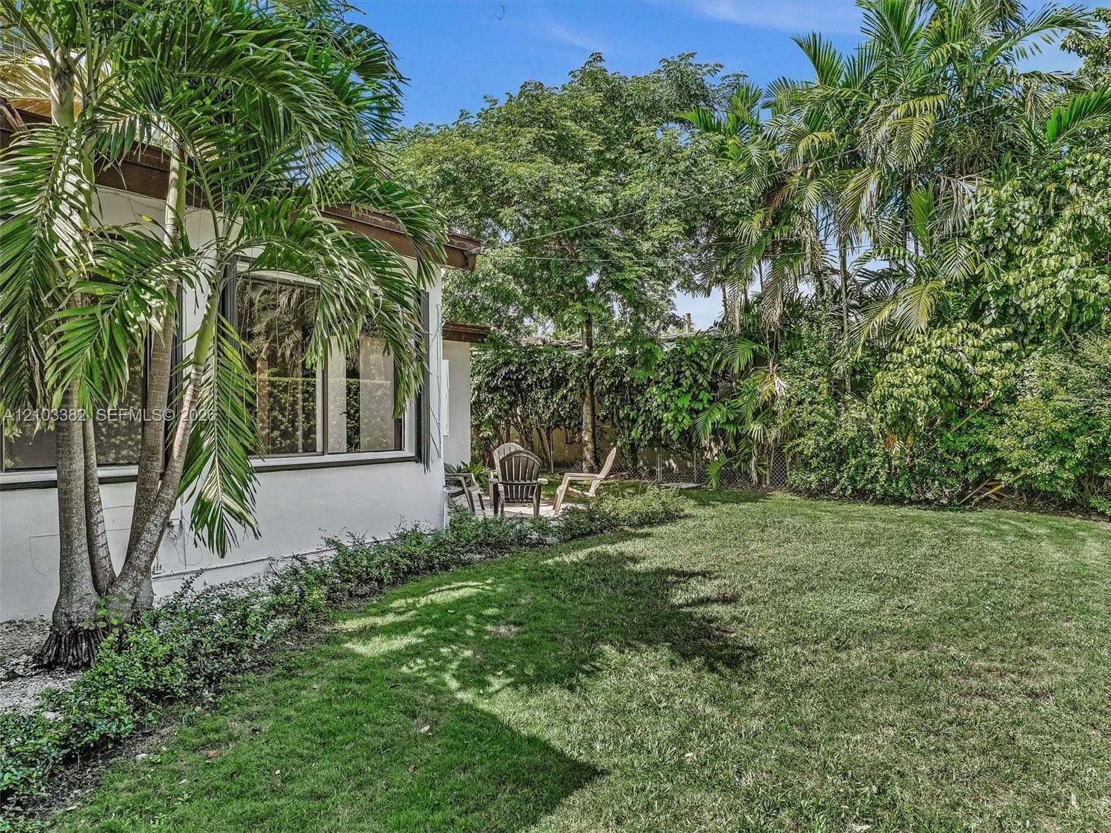 Expansive fenced backyard featuring a manicured lawn, established palm trees, mature greenery, and a concrete patio area. House for rent in Coral Gables. House for rent listed by Realtor.