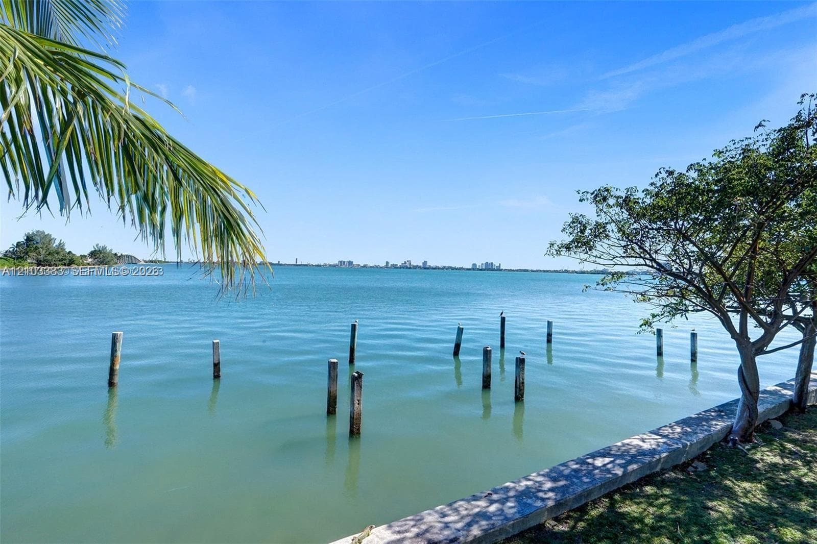 Charter Club · #1423 in Miami - Photo 39