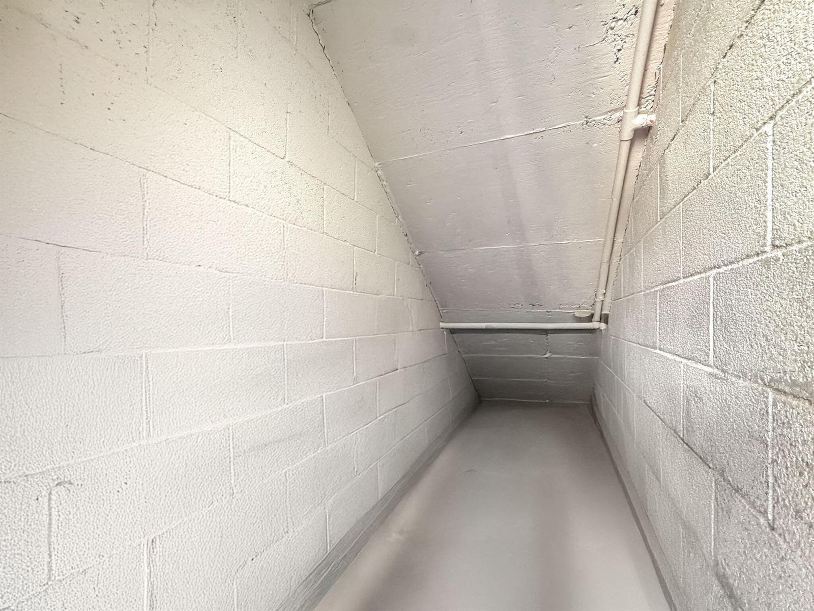 23-web-or-mls-JOY_055445-1
