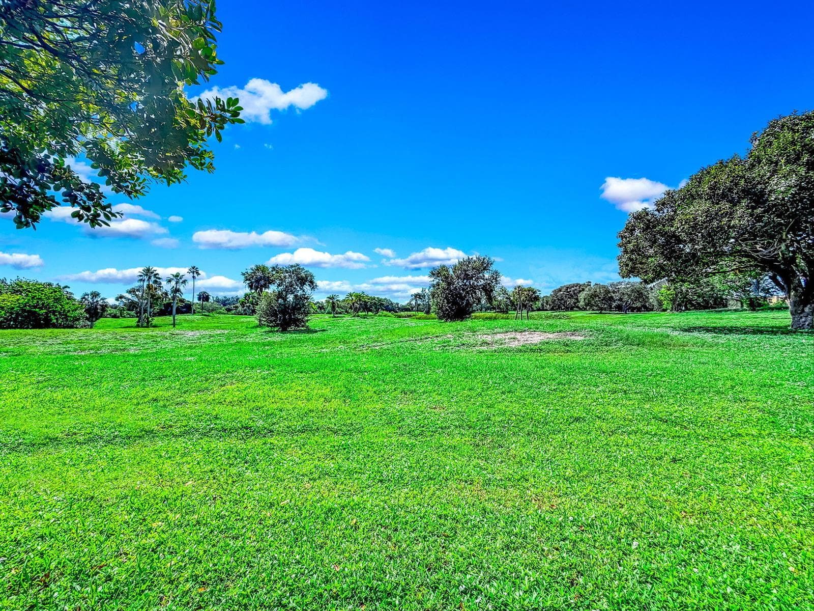 54-web-or-mls-JOY_055575