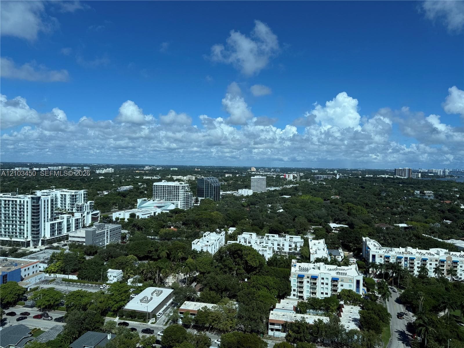 High-elevation aerial perspective showcasing a metropolitan landscape with expansive greenery and mature canopy coverage