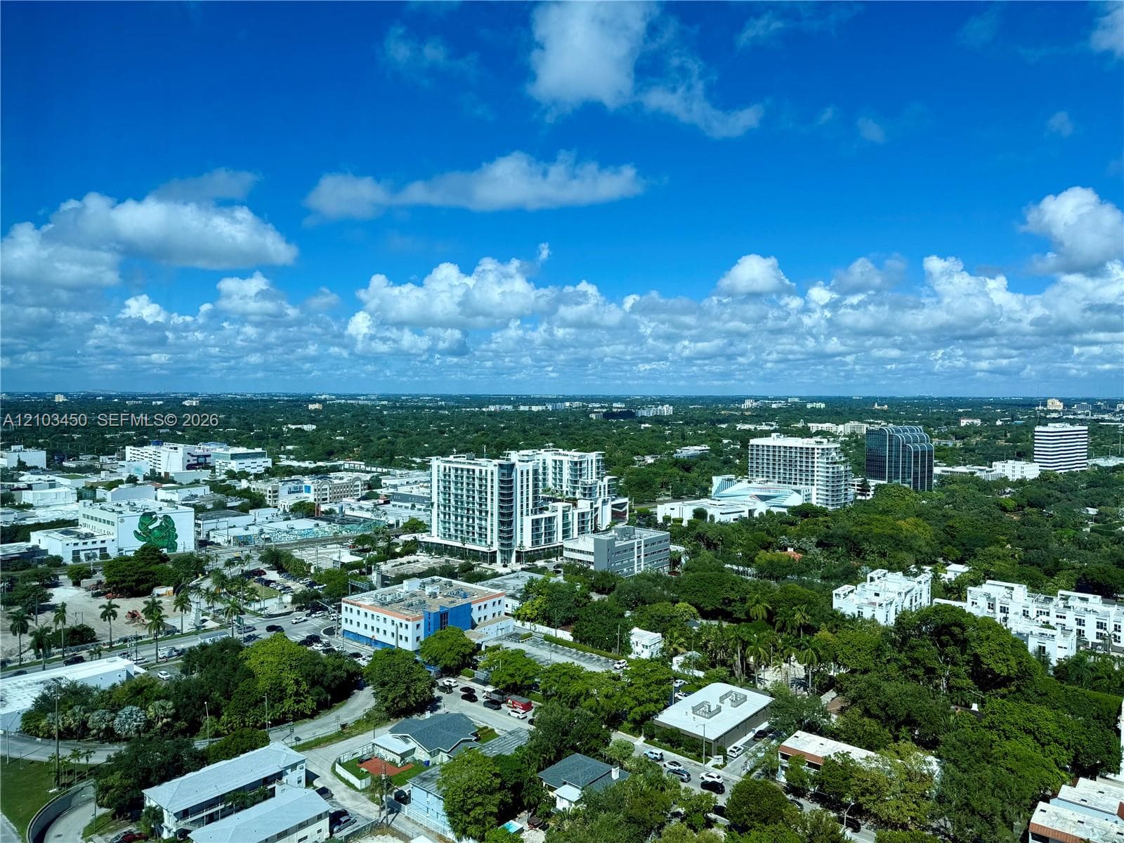 High-elevation aerial perspective featuring an expansive cityscape, dense mature tree canopy, and a clear horizon line