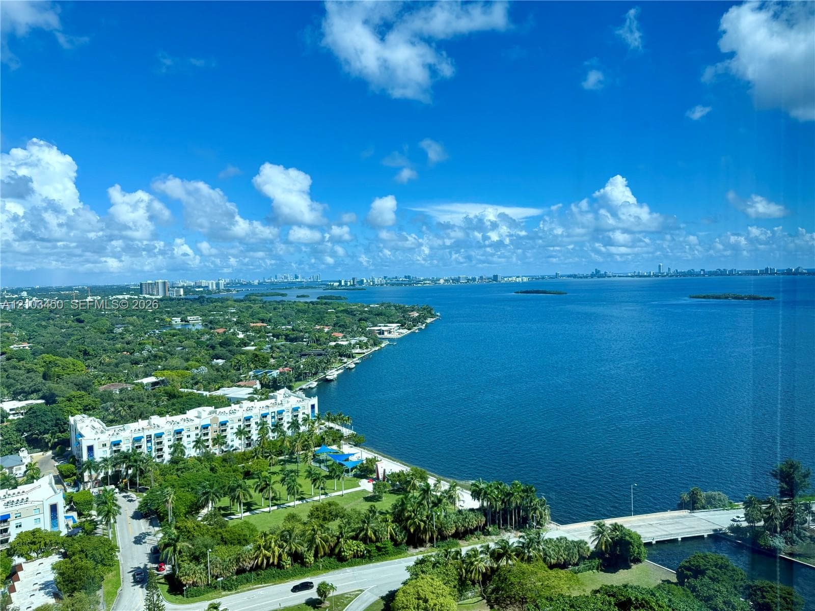 High-altitude panoramic outlook featuring expansive coastal waters, extensive shoreline, mature tree canopy, and metropolitan skyline horizon