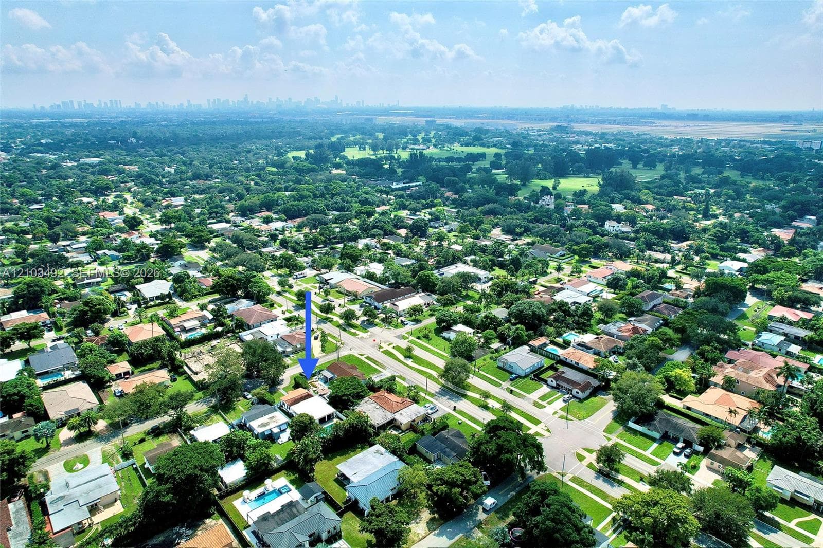 Aerial perspective featuring a landscaped residential neighborhood with mature tree canopy and distant metropolitan skyline