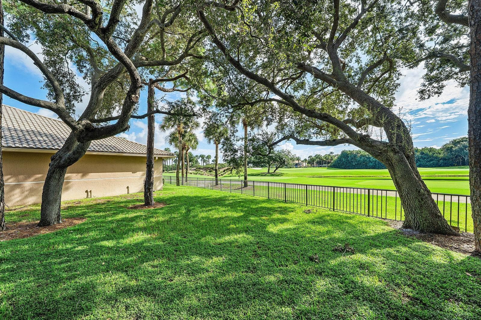 Side yard