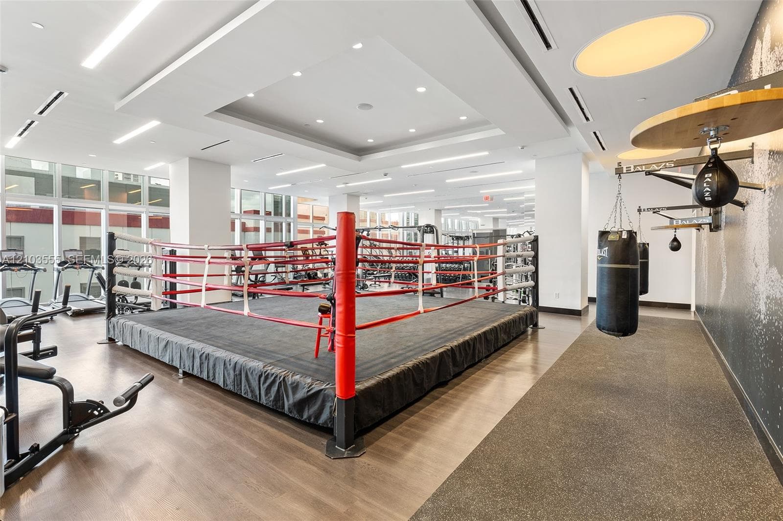 Dedicated boxing ring with padded floor, speed bag, heavy bag, and wood-finish flooring