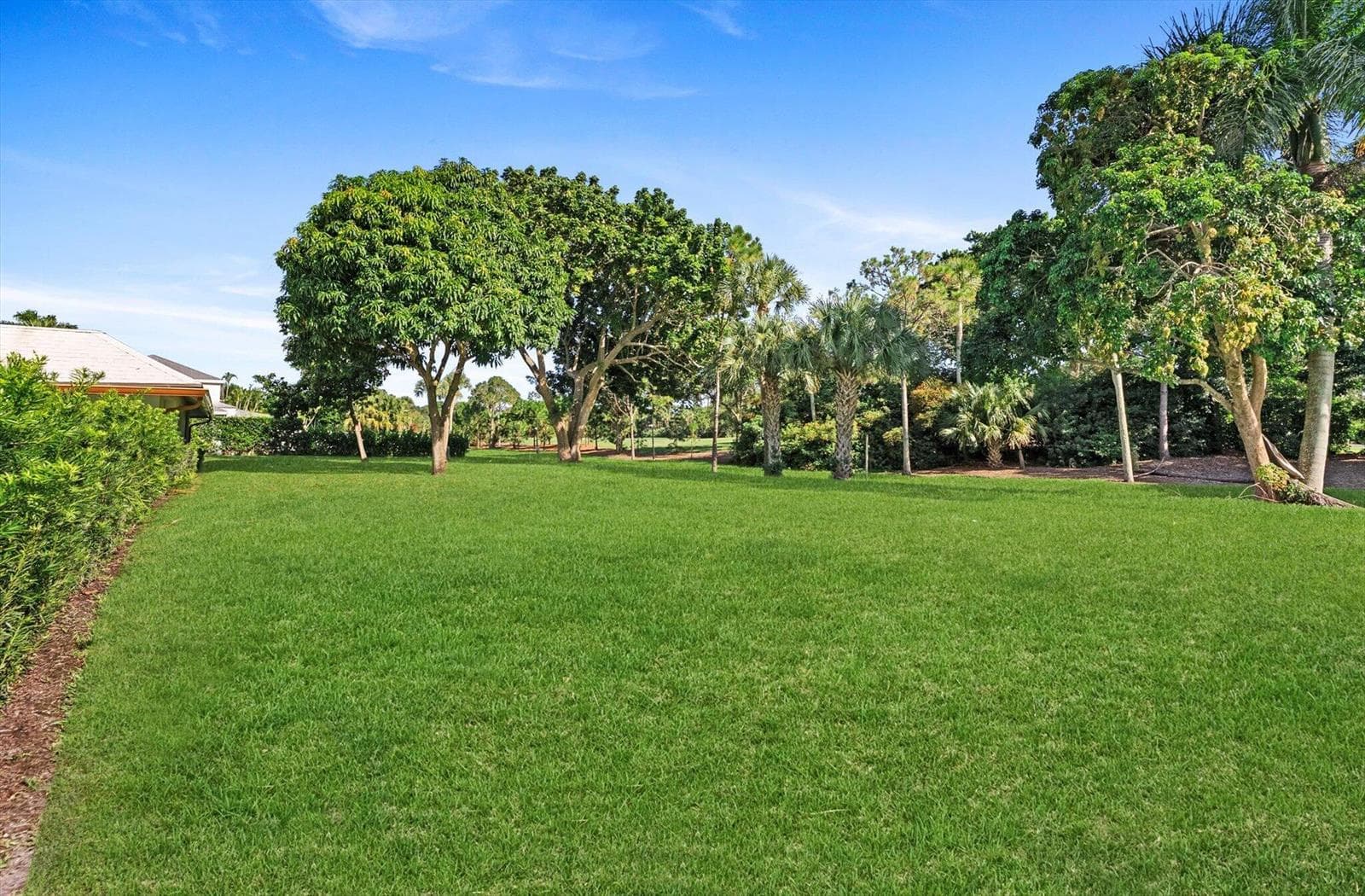 Rear Yard