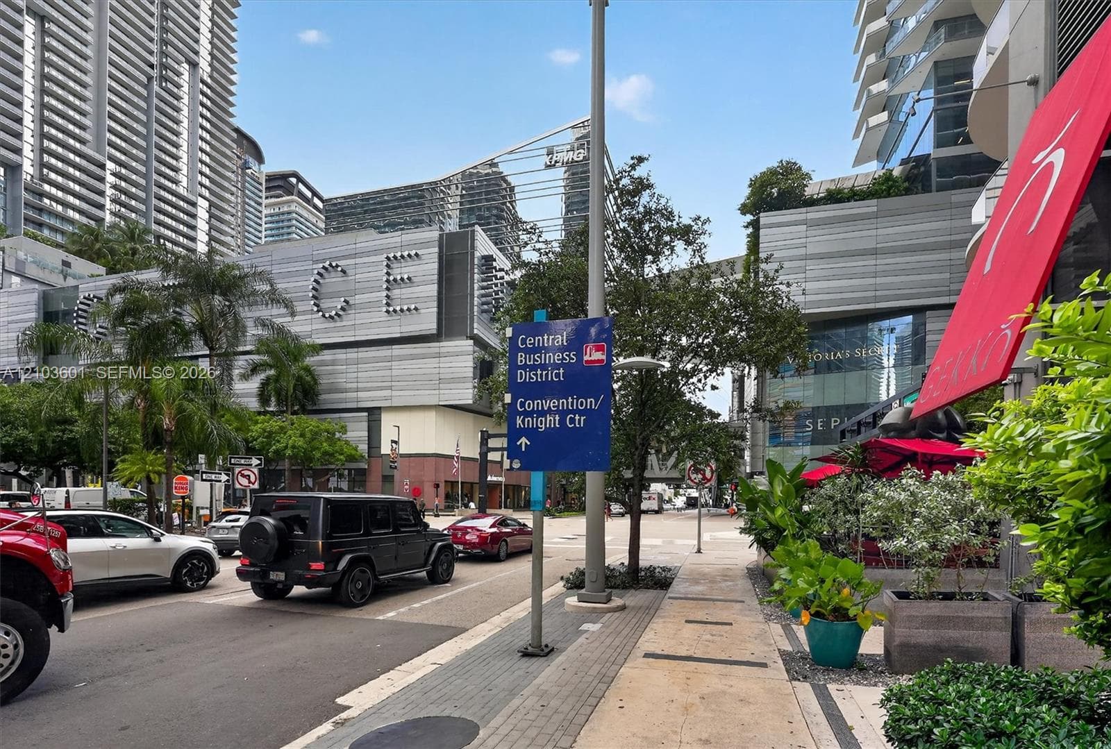Urban streetscape featuring multi-story high-rise architecture, paved sidewalks, and mature palm trees