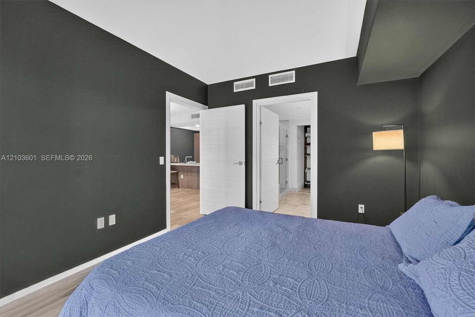 Interior space featuring matte charcoal walls, wood-finish flooring, and white horizontal-grain interior doors