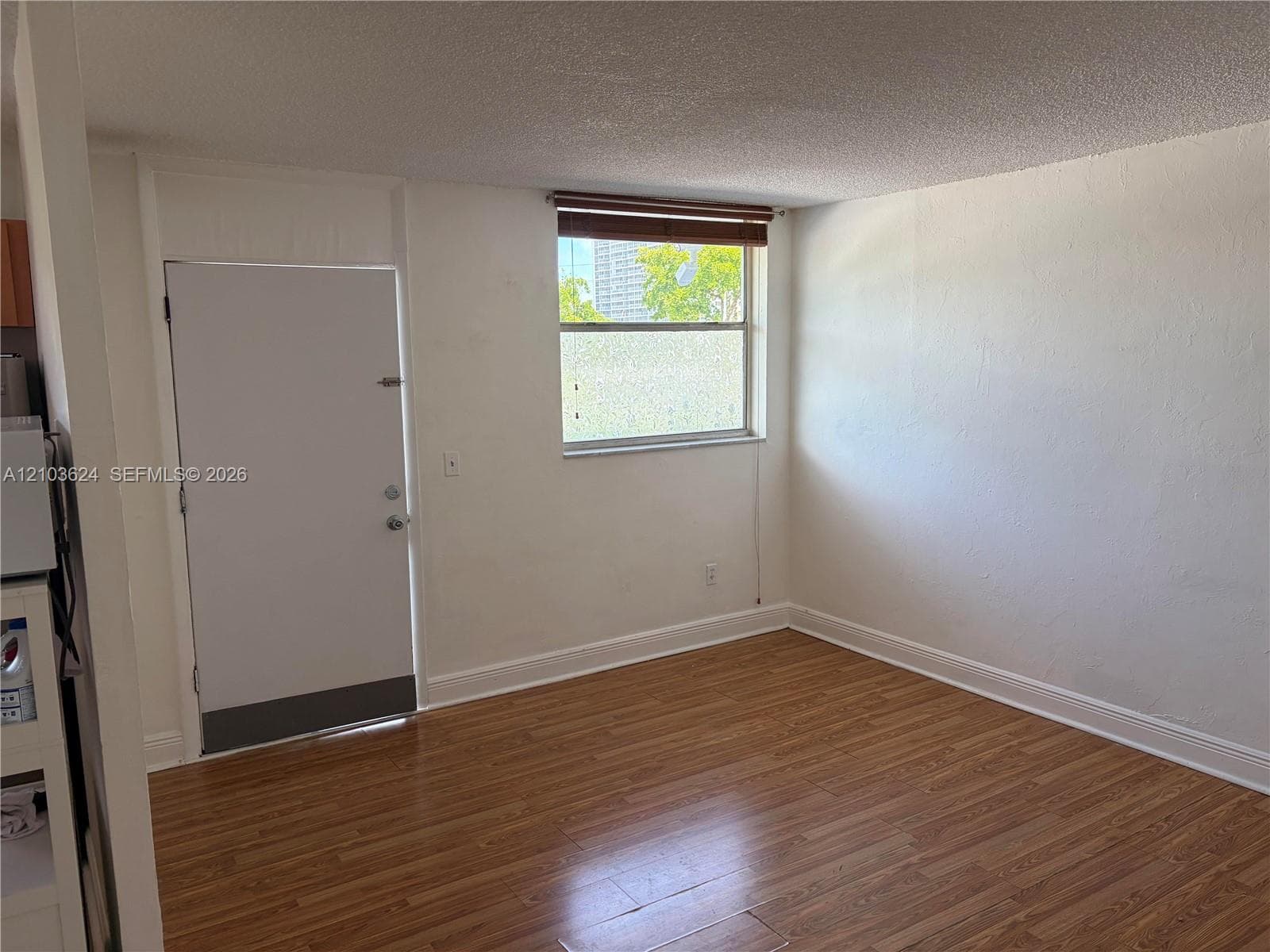 Living Roon featuring wood-finish flooring, a single-pane window with a horizontal blind, and a solid-panel door