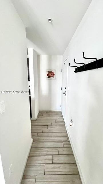Emilia Edgewater · #502 in Miami - Photo 4