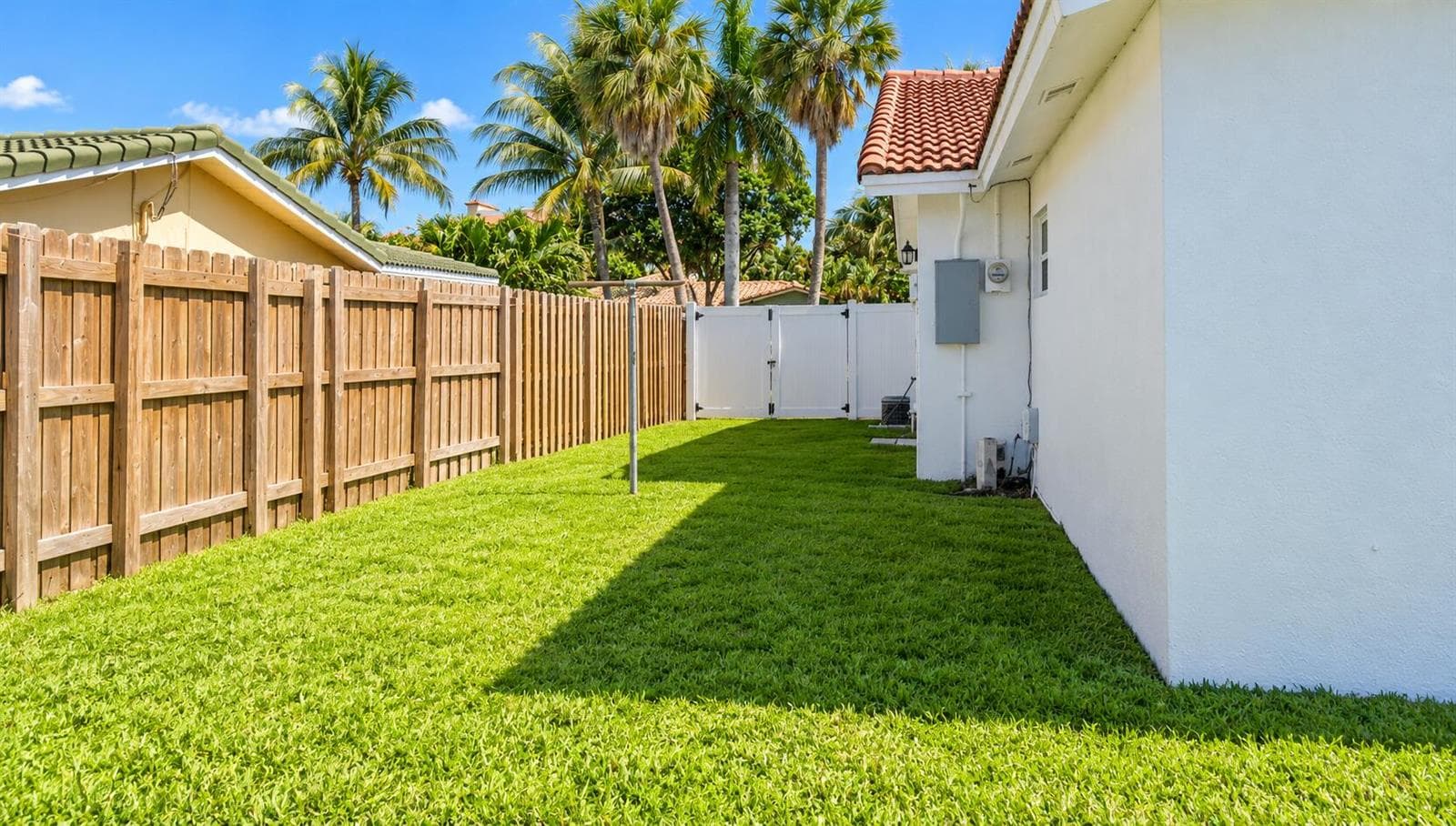 Sunny Tropical Side Yard