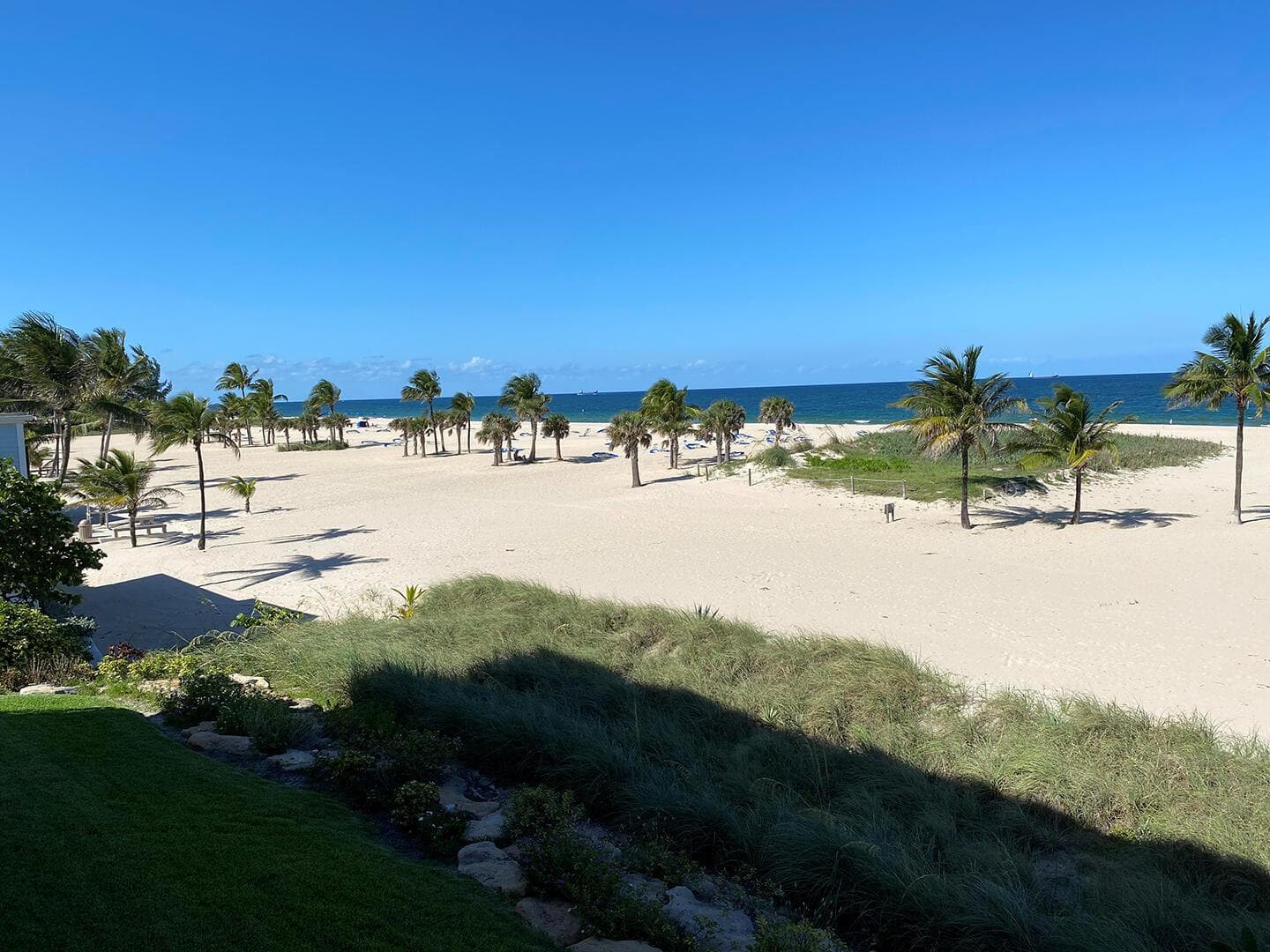 OceanageBeach