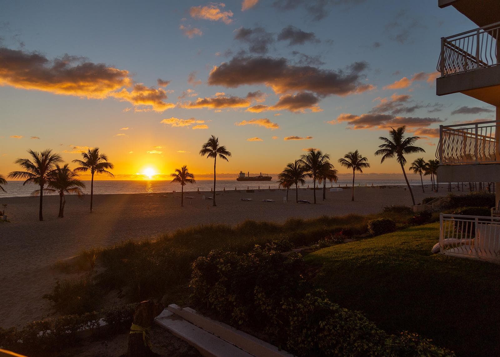 Oceanage Beach Sunrise