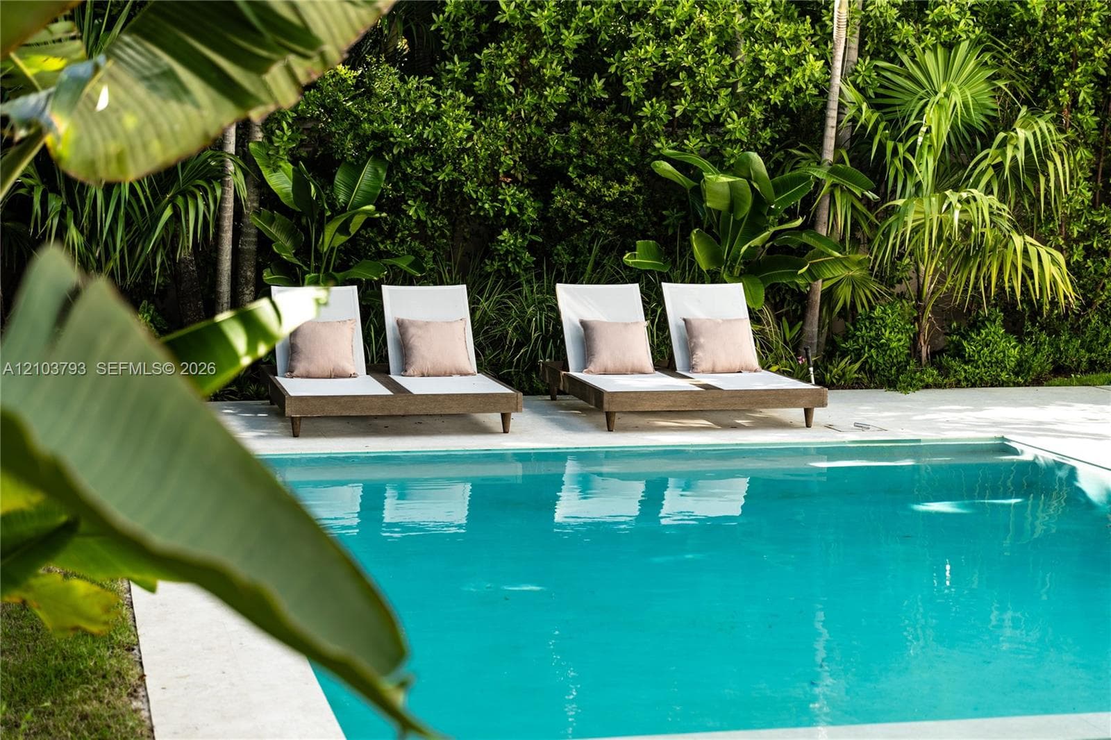 Swimming pool with stone coping, surrounded by established tropical foliage and privacy hedging