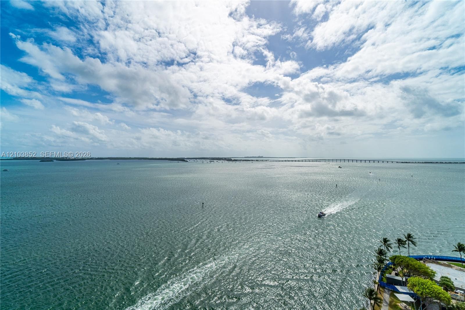 St Louis · #1804 in Miami - Photo 2
