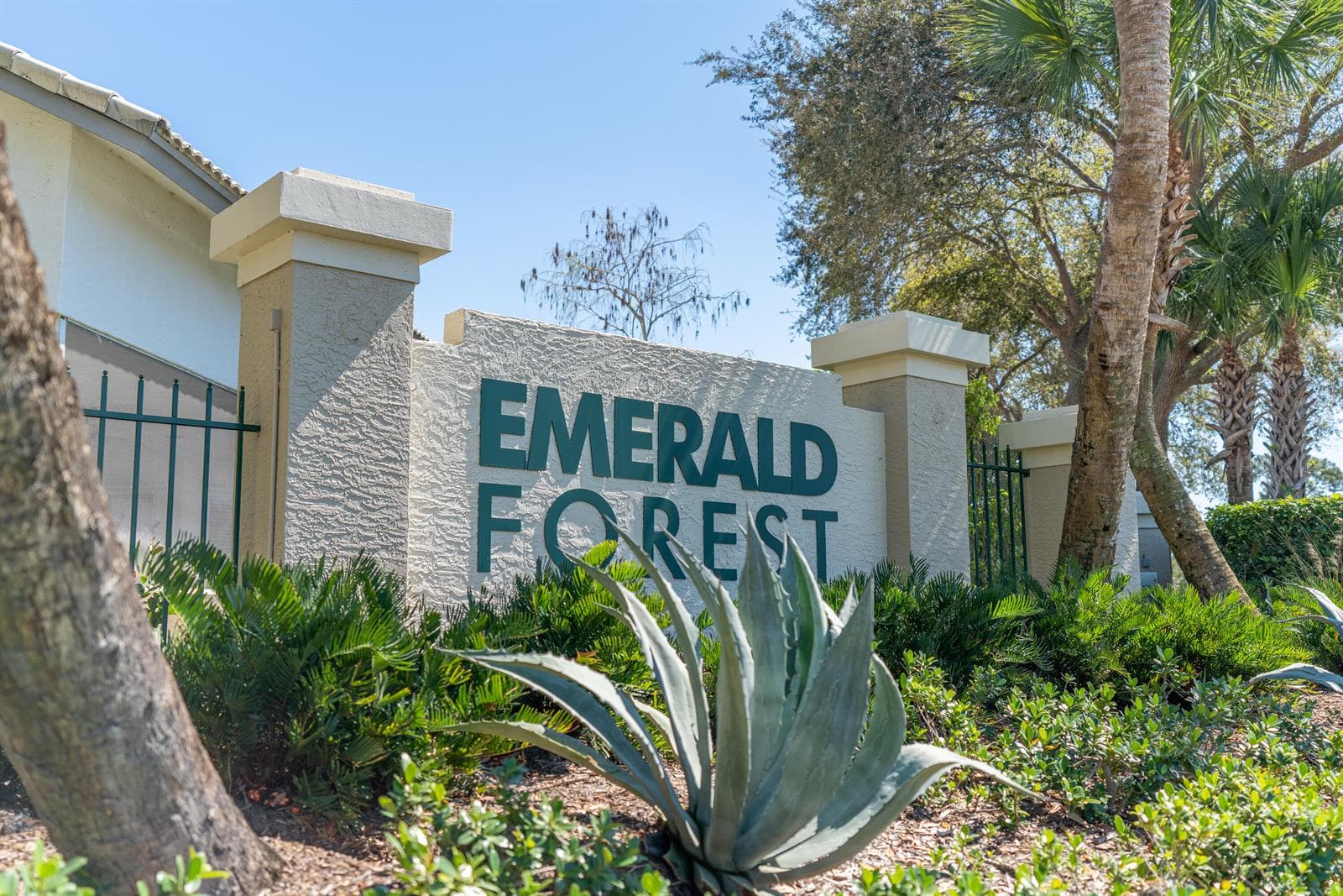 Emerald Forest