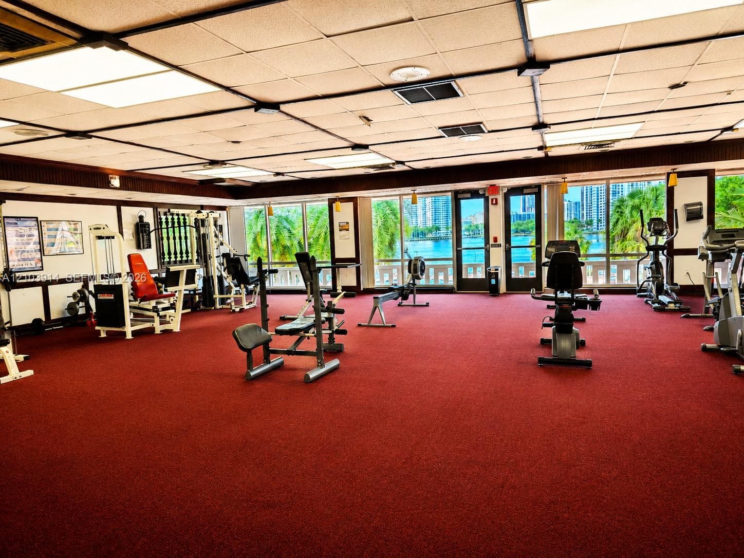 Fitness room featuring floor-to-ceiling windows, red carpeting, and a drop ceiling with recessed lighting