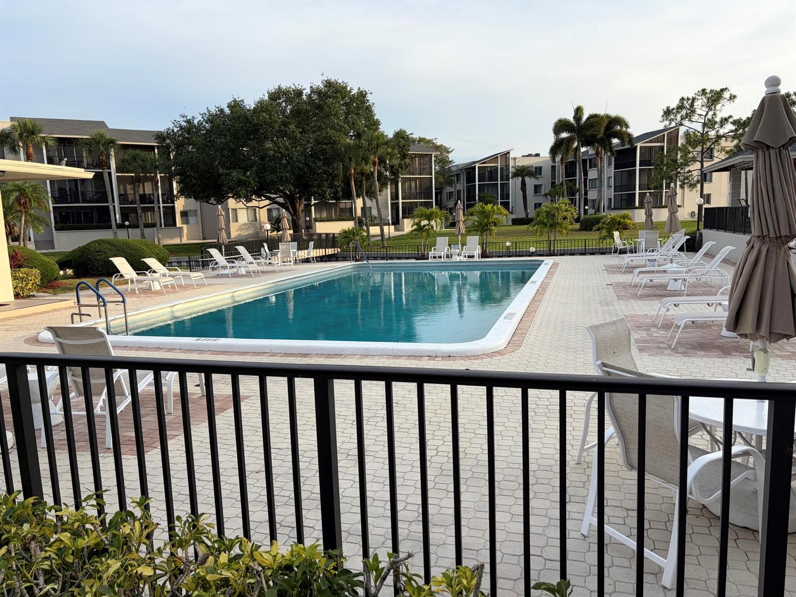 Pool Longwood