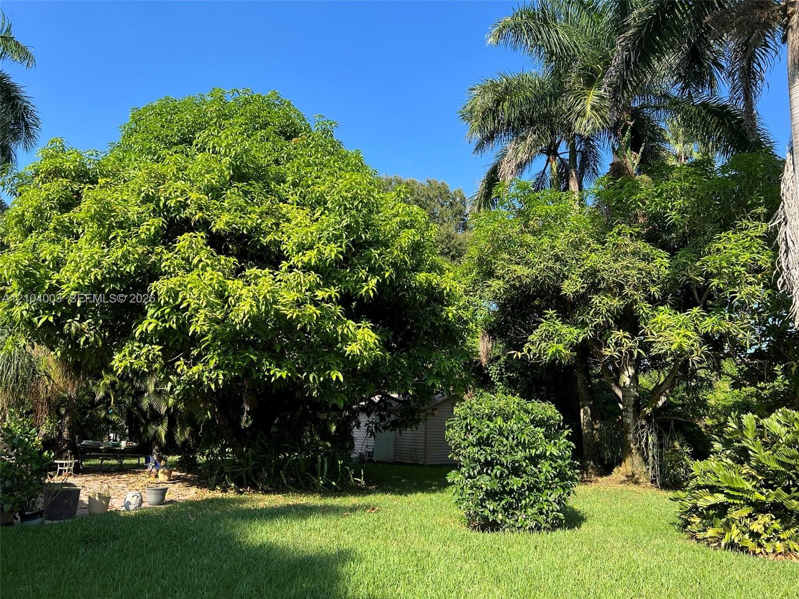 Expansive grounds featuring a manicured lawn, mature trees, and established tropical landscaping