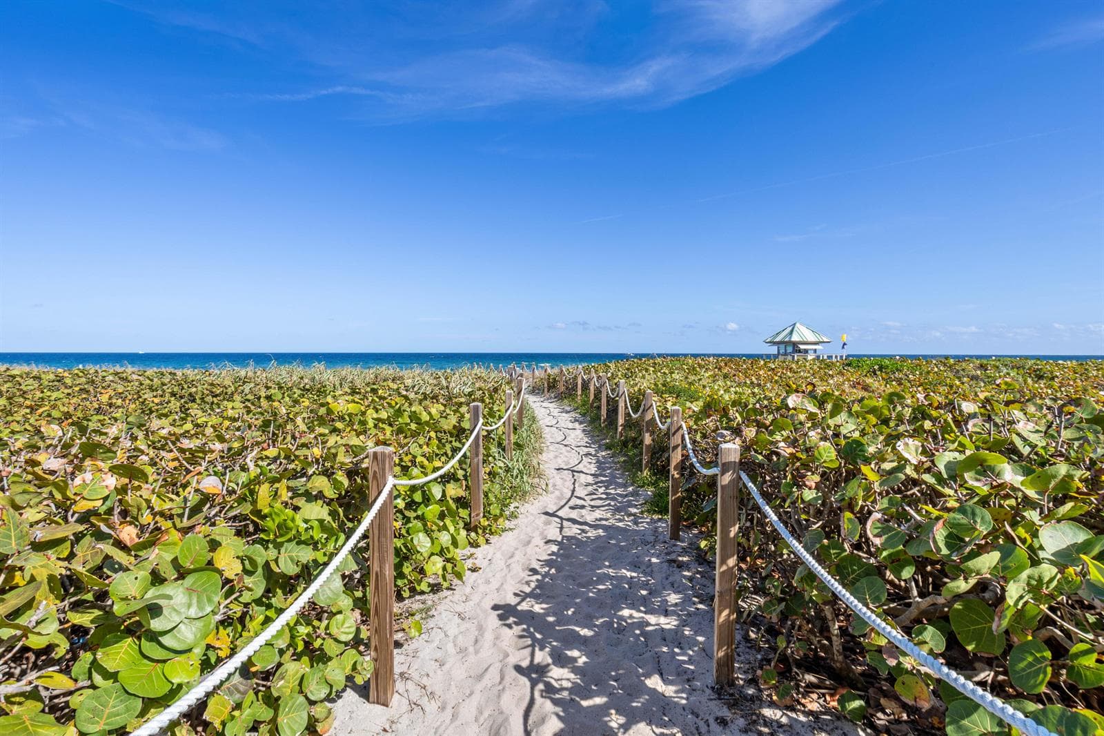 Beach Walkway