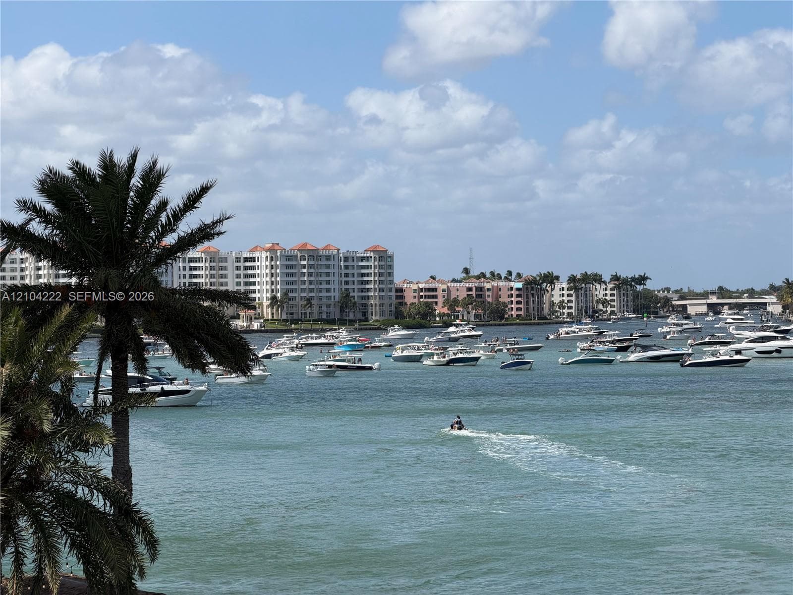 Waterfront scenery featuring a canal, multiple moored boats, and mature palm trees