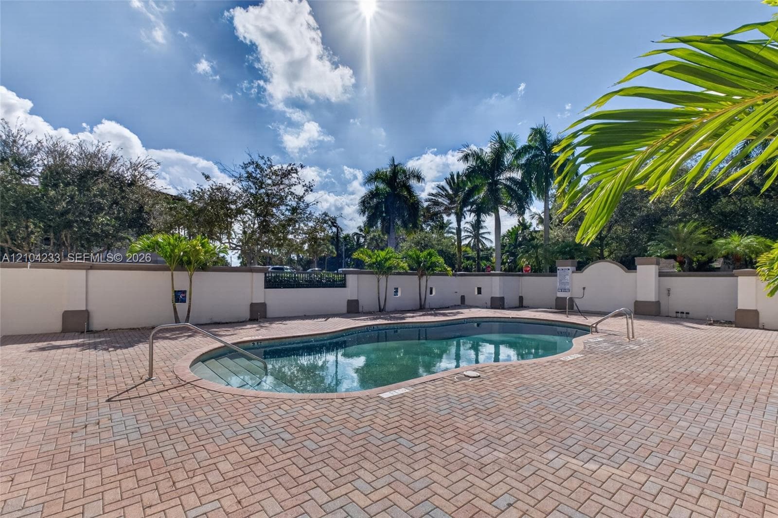 In-ground pool featuring a brick paver deck, perimeter masonry wall, and mature palm trees