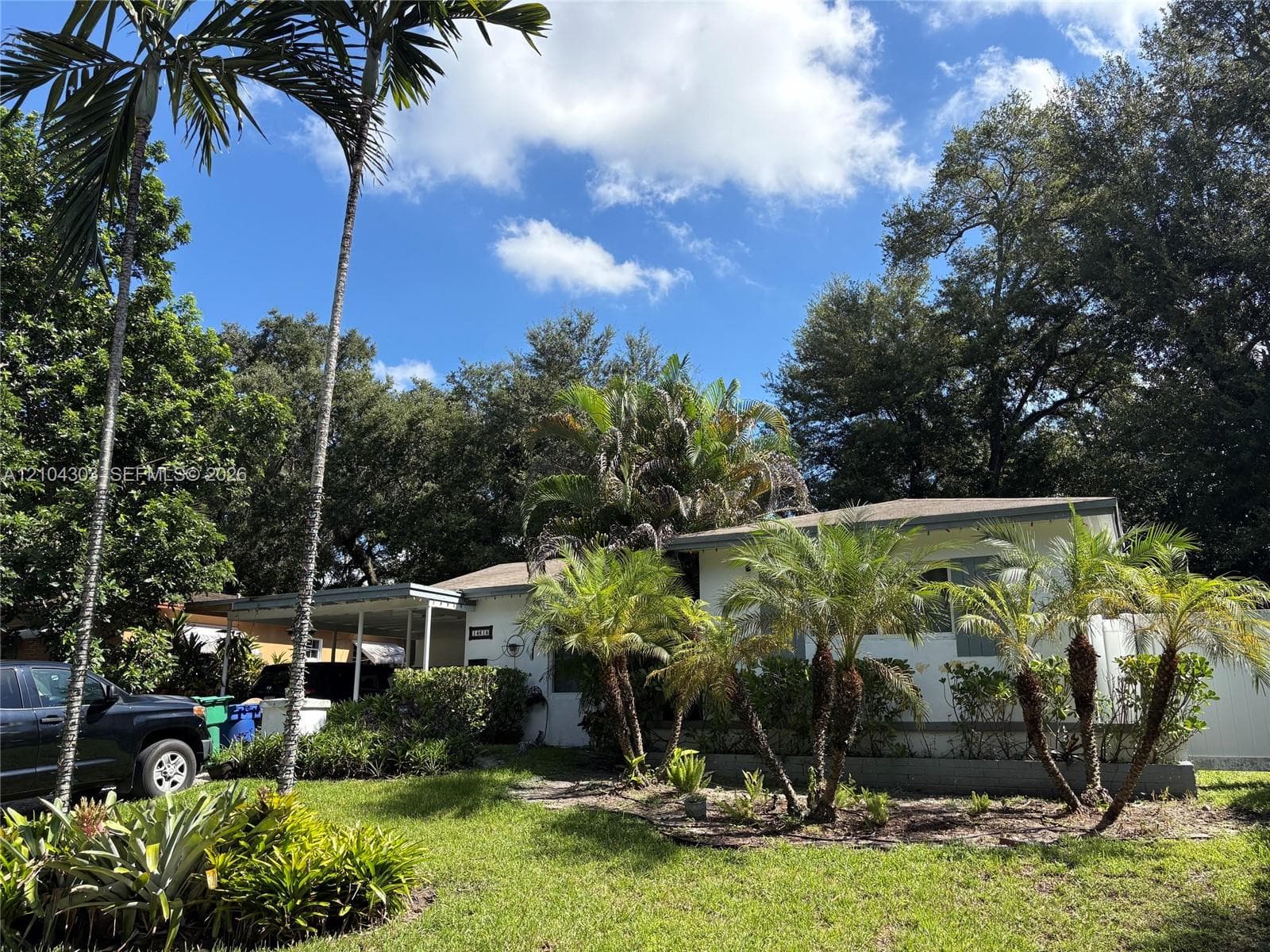 Single-story exterior featuring light-toned siding, mature palm trees, established landscaping, and an attached carport
