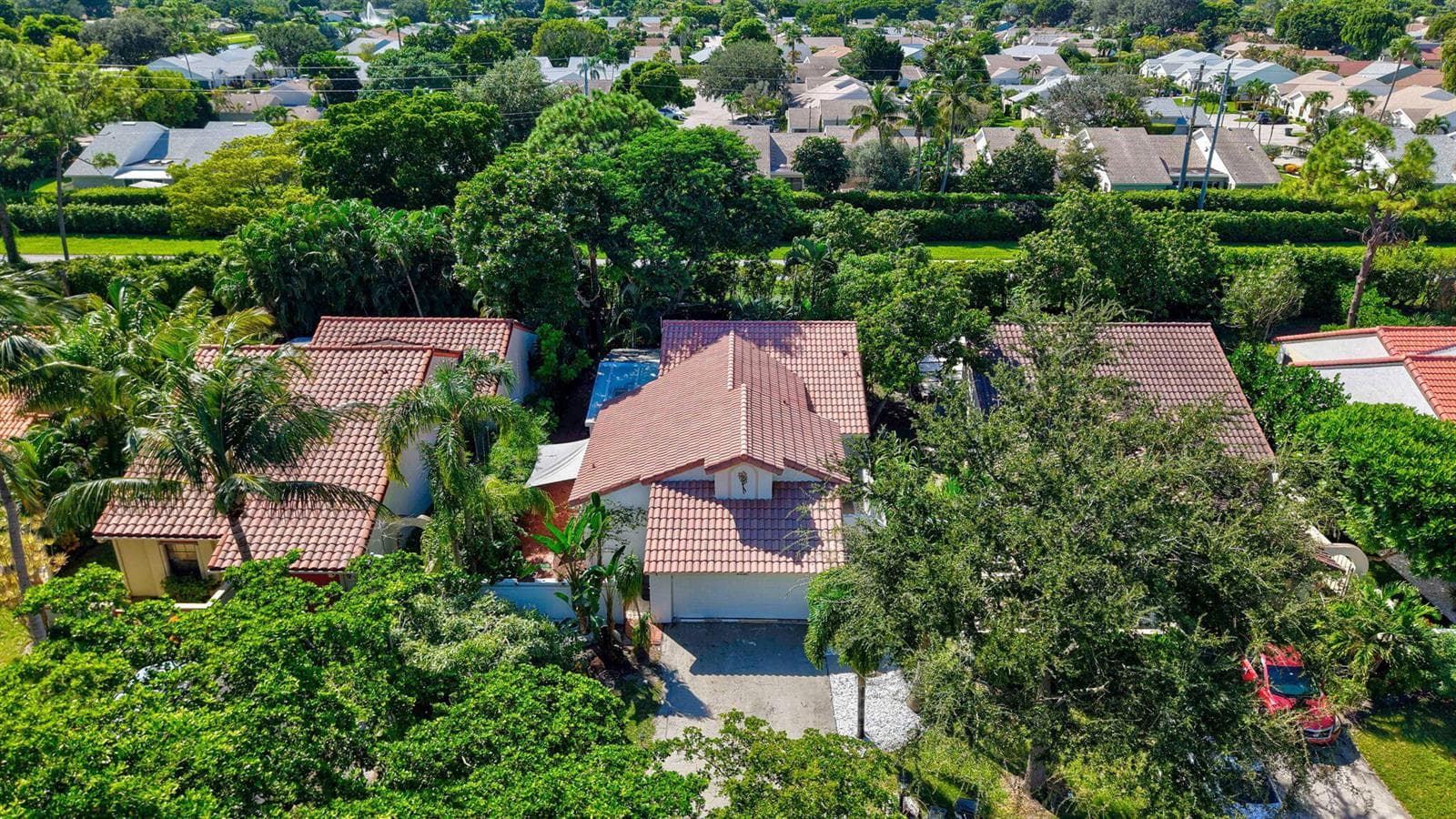 IMG_4437