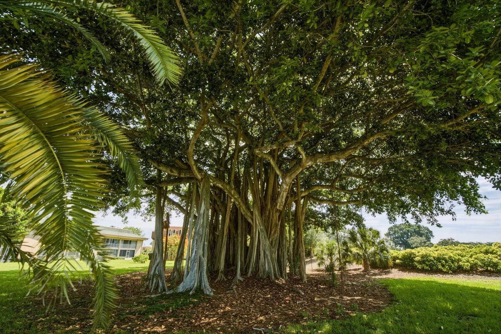 10720 Ave of the PGA Palm Beach Gardens