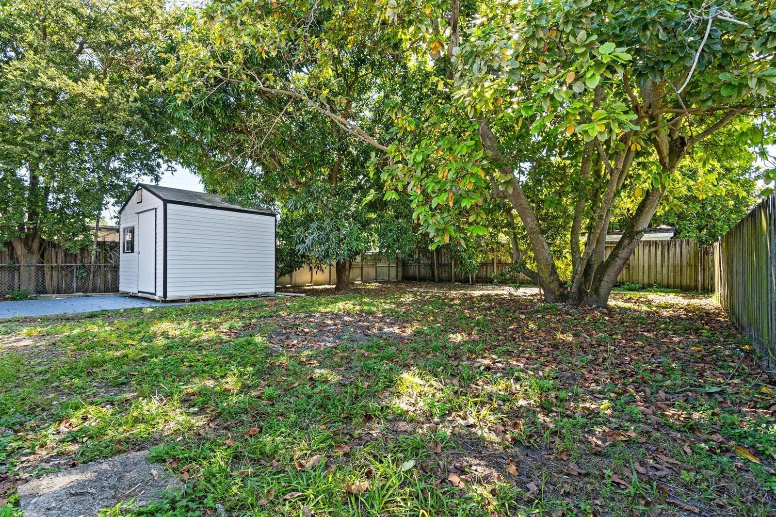 Backyard shed