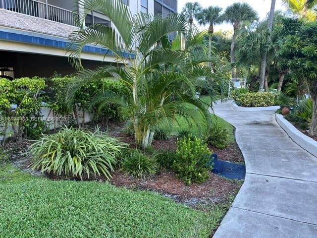 Concrete walkway bordered by mature palm trees, sculpted shrubbery, and mulched landscaping beds