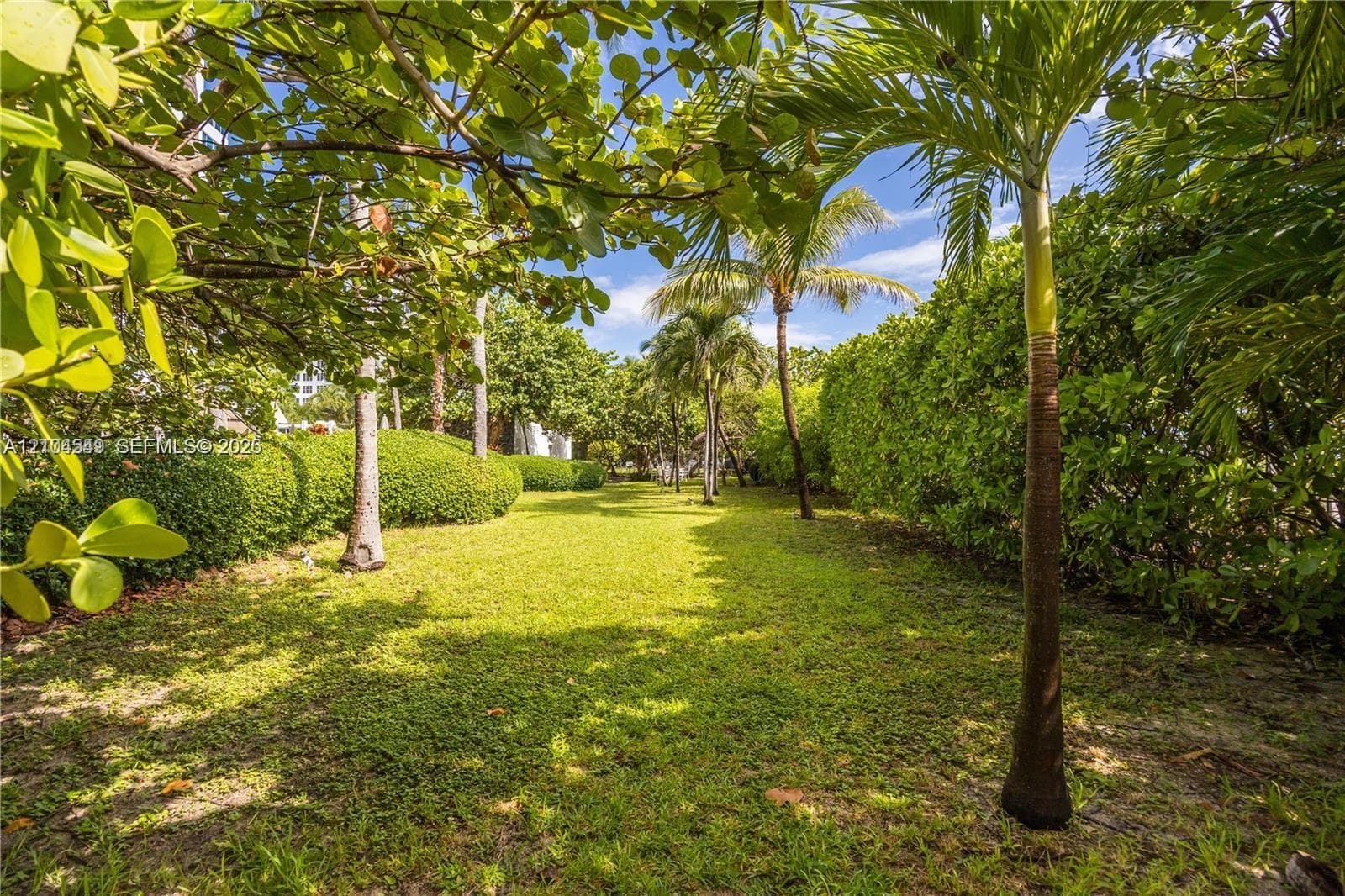 Lush green lawn with mature palm trees and manicured hedges, offering ample shade under a bright blue sky