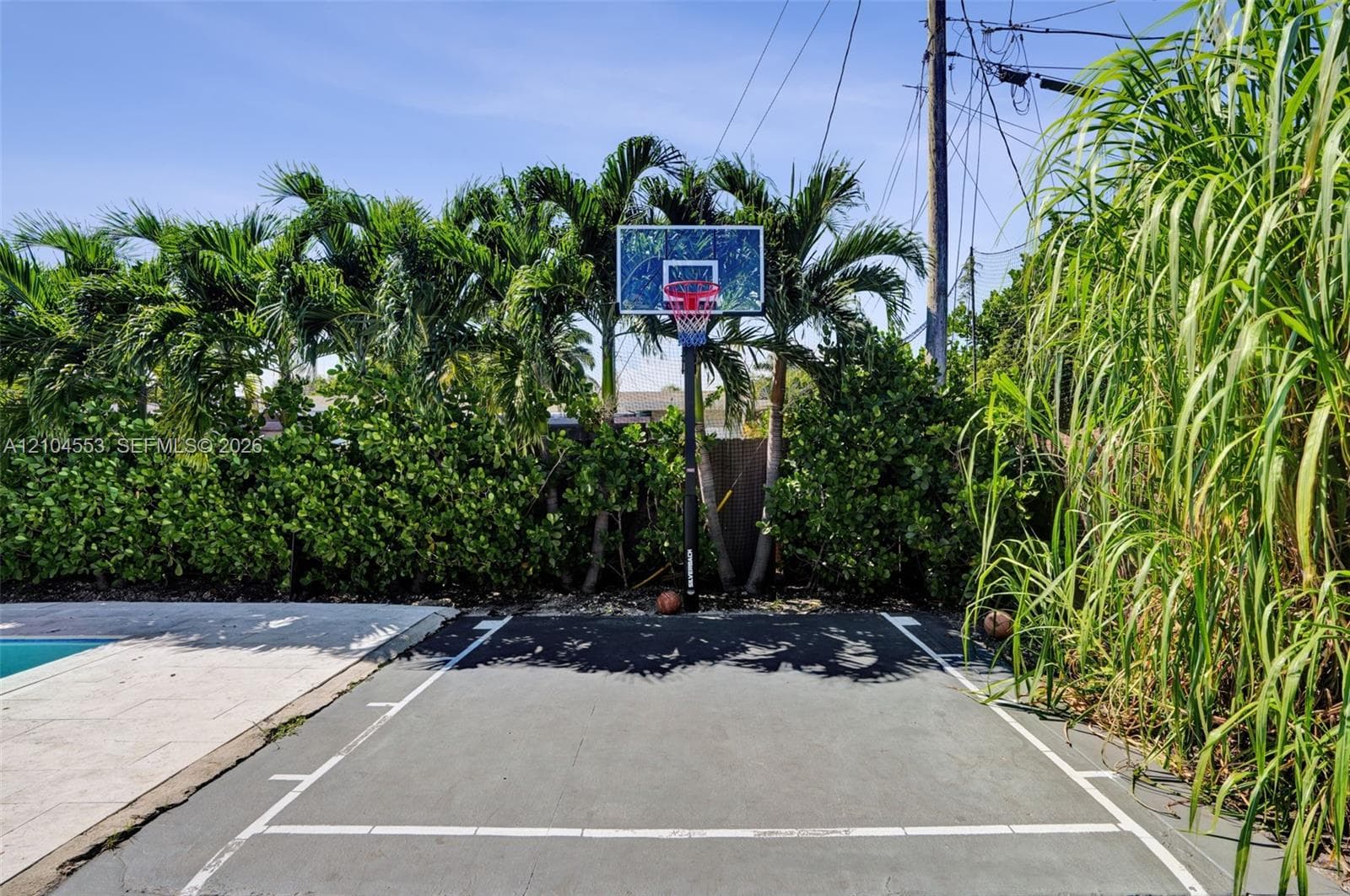 Hard-surface basketball court featuring painted boundary lines, backboard with rim, and perimeter landscaping consisting of mature palm trees and tall ornamental grasses