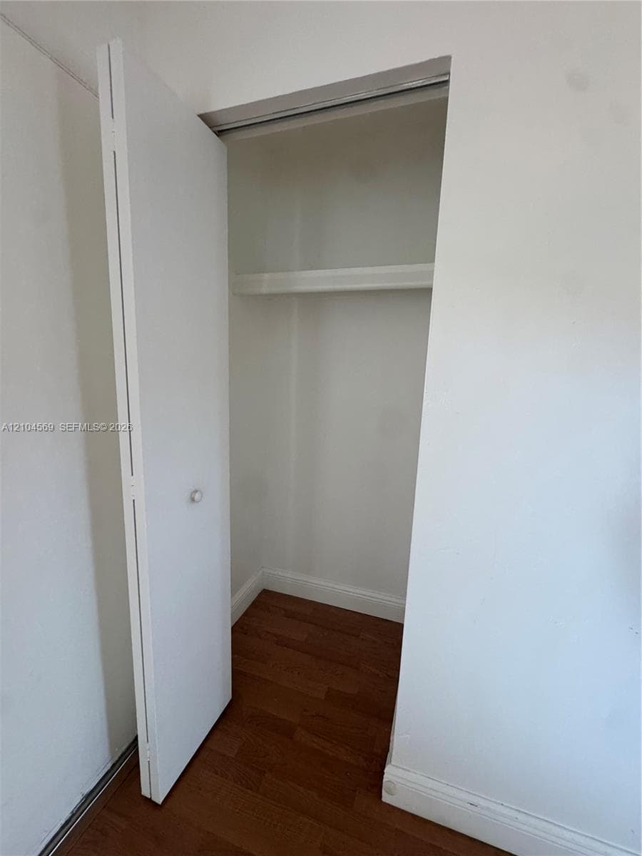 Entry Way Closet