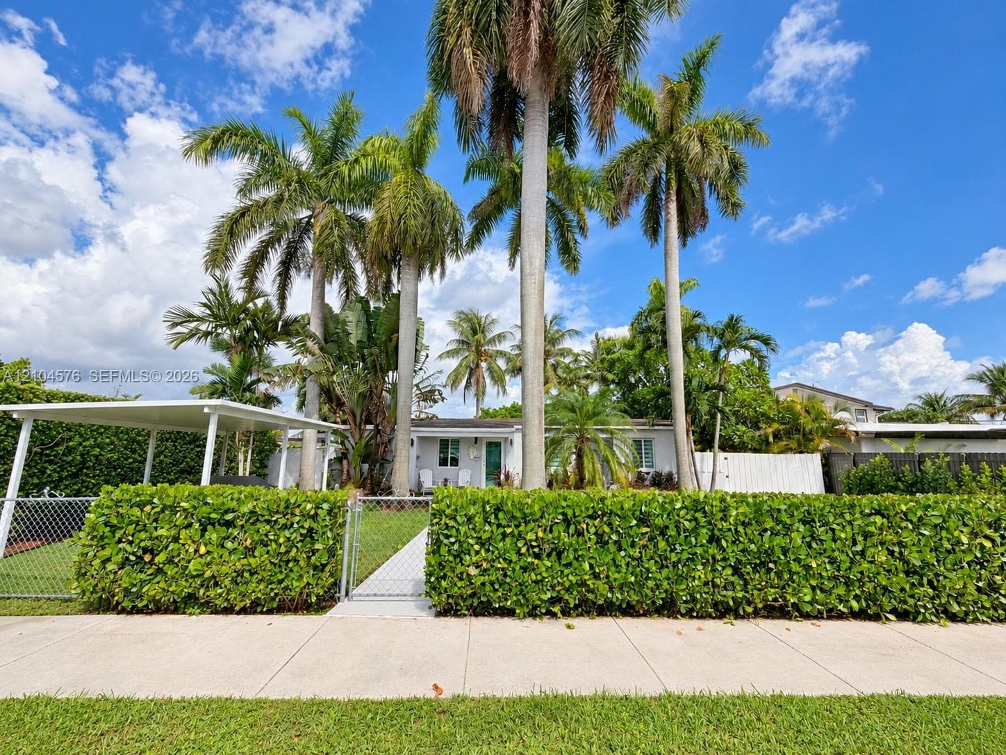 Exterior of the residence featuring mature palm trees, a manicured privacy hedge, a covered carport, and metal chain-link fencing